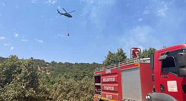 Bingöl'de orman yangını