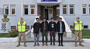 Bitlis'te 4 kaçak göçmen yakalandı