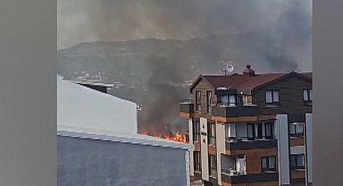 Bursa'da çamlık yangını; yerleşim yerlerine sıçramadan söndürüldü