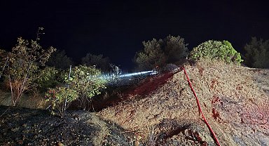 Bursa'da çıkan anız yangın yerleşim yerine ulaşmadan söndürüldü