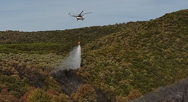Bursa'da orman yangını; 14 saatte söndürüldü