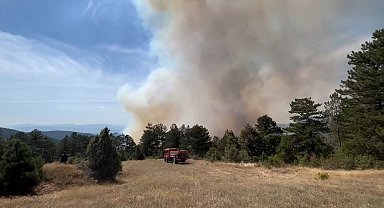 Bursa'da orman yangını