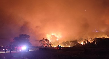 Bursa'da orman yangını