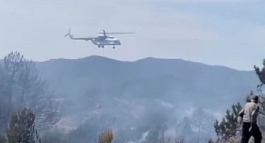 Bursa'da orman yangını