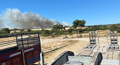 Çanakkale'de orman yangını