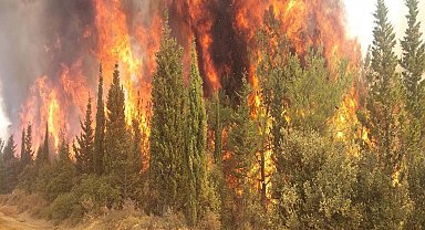 Çanakkale'de orman yangınlarına karşı yeni tedbirler alındı