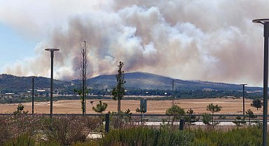Çanakkale'de tarım arazisindeki yangın ormana sıçradı