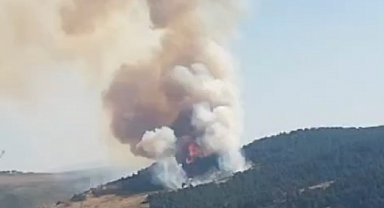 Çankırı'da çıkan orman yangını kontrol altına alındı