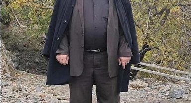 Ceviz silkelerken ağaçtan düşen eski muhtar öldü