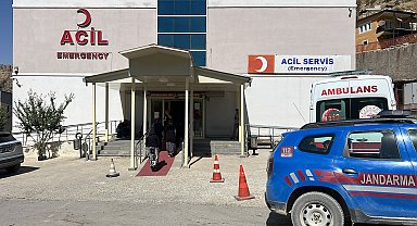 Ceviz toplamak için çıktığı ağaçtan düşüp öldü