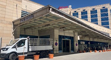 Ceviz toplarken ağaçtan düşüp öldü