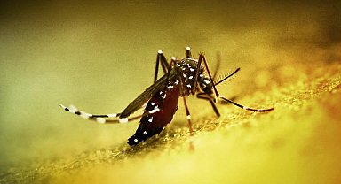 Çin'de halk sağlığı acil durumu ilan edildi