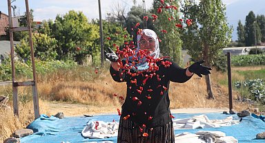 Coğrafi işaretli Cırgalan biberinde kurutma mesaisi başladı