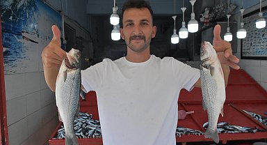 Denizdeki sardalya bolluğu fiyatlara yansıdı