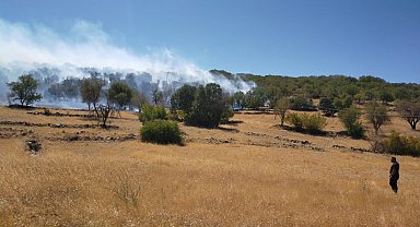 Diyarbakır'da 3 farklı noktada yangın; 2'si kontrol altında, biri sürüyor