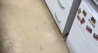 Diyarbakır'da doktora saldırı: 2 gözaltı