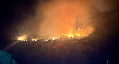 Diyarbakır'daki örtü yangını 2'nci gününde kontrol altında