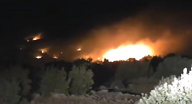 Diyarbakır'daki örtü yangını 2'nci gününde