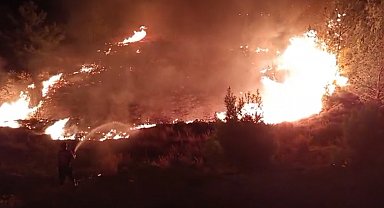Düğünde atılan havai fişekler yangın çıkardı; alevler ormana sıçramadan söndürüldü