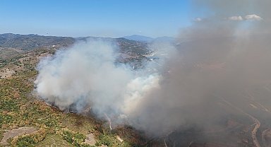 Düzce'de orman yangını