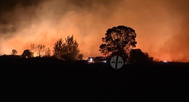 Edirne'de buğday tarlasındaki yangın, ormana sıçramadan söndürüldü