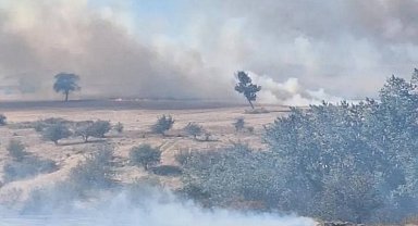 Edirne'de buğday tarlasından ağaçlara sıçrayan yangın söndürüldü
