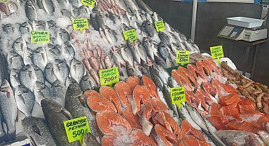 Ege'de balık bereketi; lüfer bile ağlara takıldı