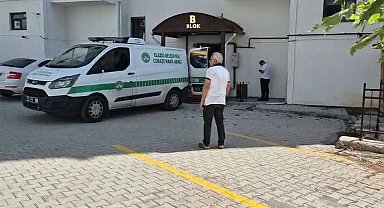 Elazığ'daki cinayette, başkomiserin eşinin ifadesi ortaya çıktı