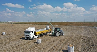 Erkoyuncu: 2027'de patates tohumunu dış alıma ihtiyaç duymadan üreteceğiz