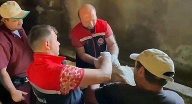 Erzurum'da 120 görevli 817 bin hayvanın yüzde 60'ını aşıladı