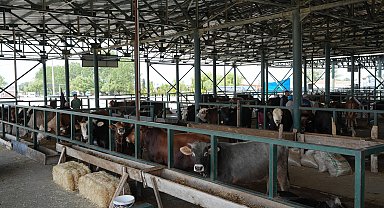 Eskişehir'de büyükşehir hayvan pazarı kapatıldı