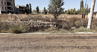 Evinin önündeki ot yangınında yaşamını yitirdi