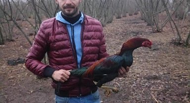 Fabrikada duvar ile çelik boru arasına sıkışan işçi öldü