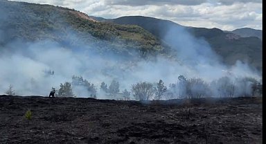 Fındık bahçesinde çıkan yangın, ormana sıçramadan kontrol altına alındı