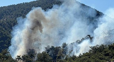 Gaziantep'te orman yangını 1,5 saatte söndürüldü
