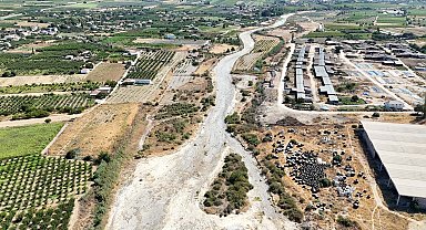 Gediz Nehri kurumaya yüz tuttu