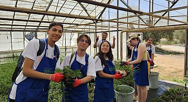 Gençlere 'dijital detoks'