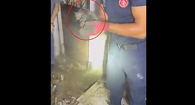 Giderde mahsur kalan yavru kediyi itfaiye kurtardı