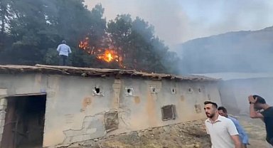 Hakkari'de çıkan orman yangını kontrol altına alındı