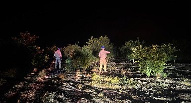 Hatay'da narenciye bahçelerinde hırsızlığa karşı komandolu önlem