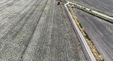 Hatay'da pamuk hasadı başladı