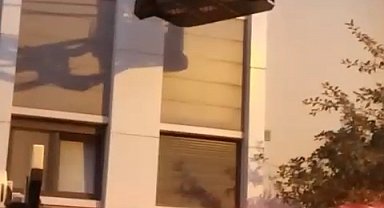 İstanbul- Ataşehir'de yangından kurtarıldı; ölen kedisi için ağladı