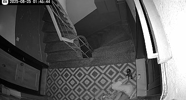 İstanbul - Bakırköy'de terk eden eski sevgilisinin evine saldırdı; 'Beni eski kız arkadaşlarınla karıştırma'