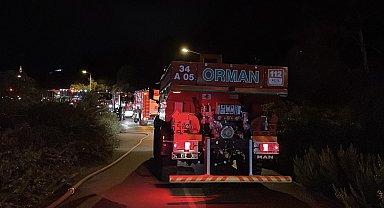 İstanbul -Beykoz'da orman yangını büyümeden söndürüldü