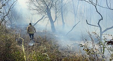 İstanbul- Büyükçekmece'de otluk alanda çıkan yangın söndürüldü