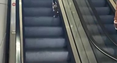 İstanbul - Havalimanında kedinin yürüyen merdivenle imtihanı