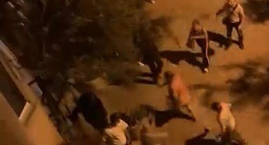 İstanbul - Kağıthane'de havai fişekli kutlamaya 'Babanızın yeri mi' diye tepki gösteren çifti darbettiler