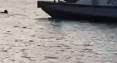 İstanbul - Küçükçekmece'de denizde hareketsiz kişi ihbarını araştıran ekipler, hayvan bağırsağı buldu