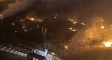 İstanbul - Küçükçekmece'de otluk alanda çıkan yangın söndürüldü