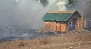 İstanbul- Silivri'de kümese sıçrayan yangında çok sayıda güvercin öldü